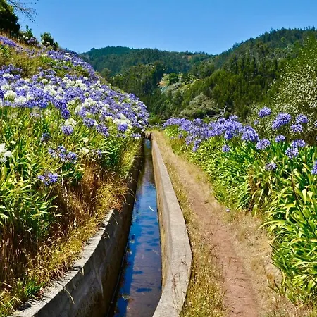 Casa Da Relva Com Piscina Aquecida Interna * Arco da Calheta (Madeira)