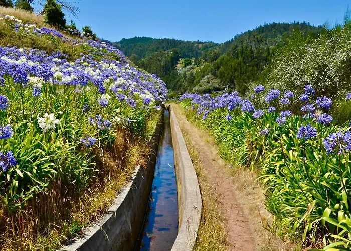 Casa Da Relva Com Piscina Aquecida Interna * Arco da Calheta (Madeira)
